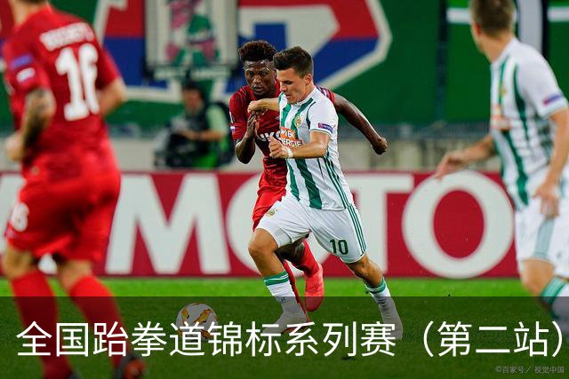 全国跆拳道锦标系列赛（第二站）第三日 冀晋浙苏各得一金