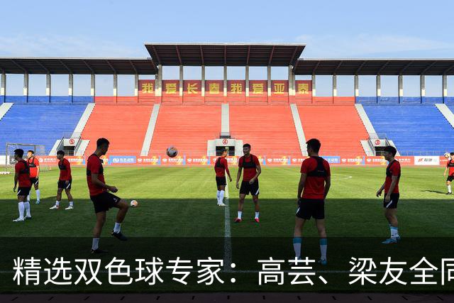 精选双色球专家：高芸、梁友全同中二等279万！