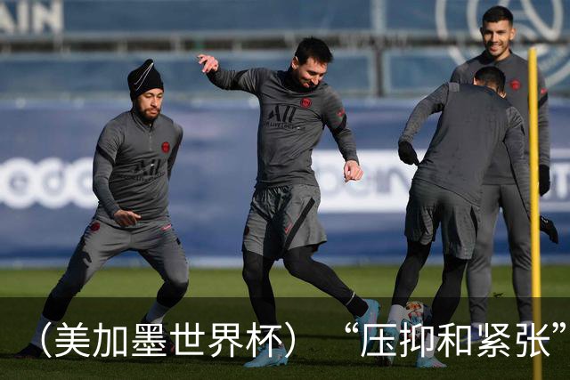 （美加墨世界杯）“压抑和紧张”中的伊朗队首秀