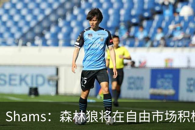 Shams：森林狼将在自由市场积极补强4号位 但他们只能提供底薪