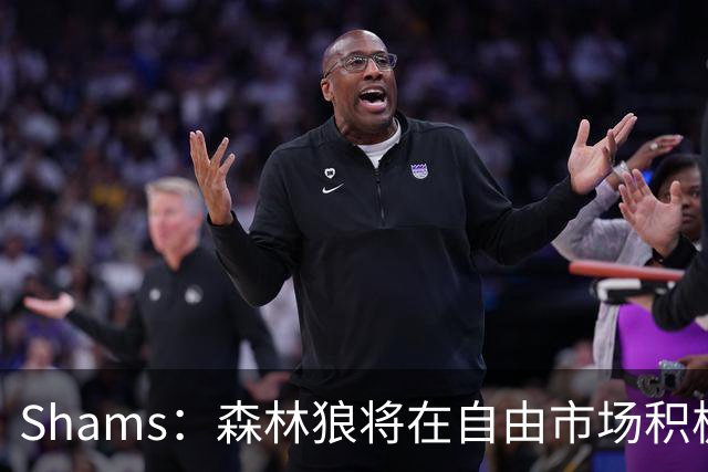 Shams：森林狼将在自由市场积极补强4号位 但他们只能提供底薪